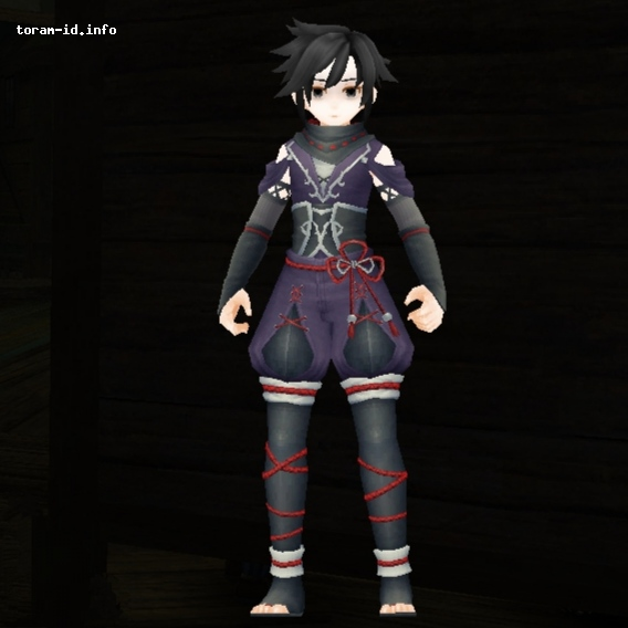 Ninja Costume
