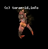 Baby Salamander