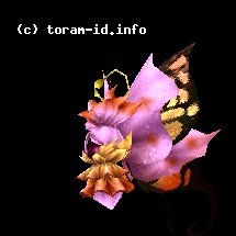 Farfalla