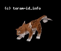 Copia Cat
