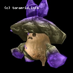 Night Mushroom