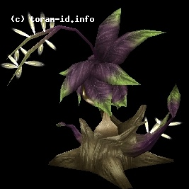 Pain Leaf