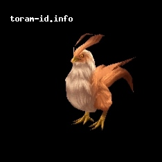 Pojo