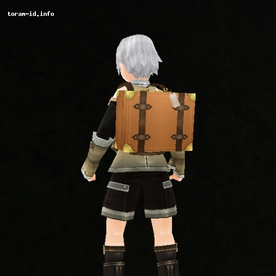Trunk Backpack