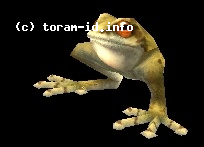 Sand Frosch
