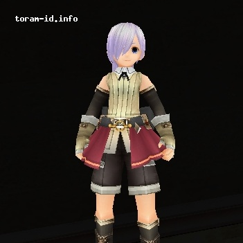 Skirt Belt