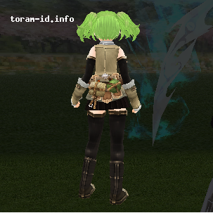 Traveler Belt