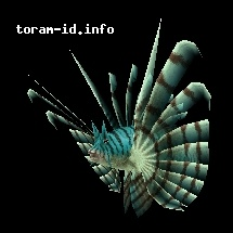 Turquoise Lionfish