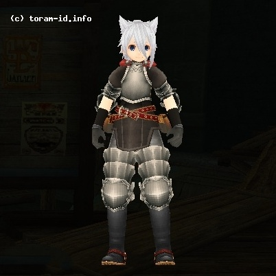 Knight Armor